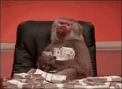 Big Money Monkey Big Smile GIF