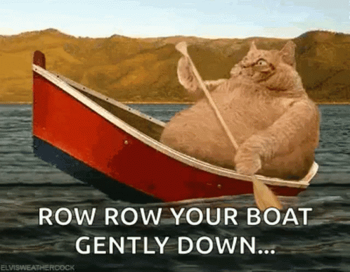 Big Orange Cat Row The Boat GIF
