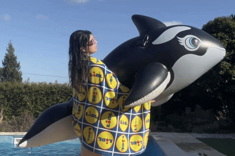 Big Orca Inflatable GIF
