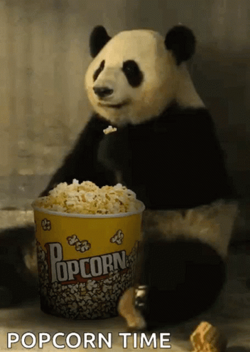 Big Panda Popcorn Eating GIF