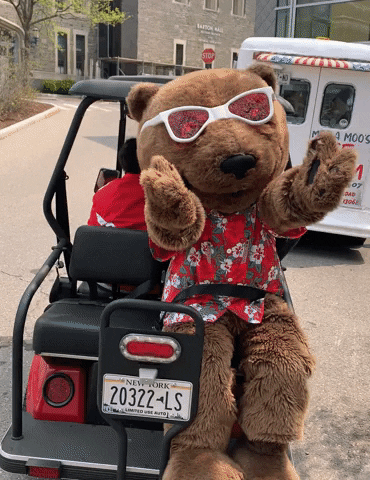 Big Red Bear Ride On The Golf Cart GIF