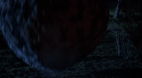 Big Rolling Ball Full Of Critters GIF