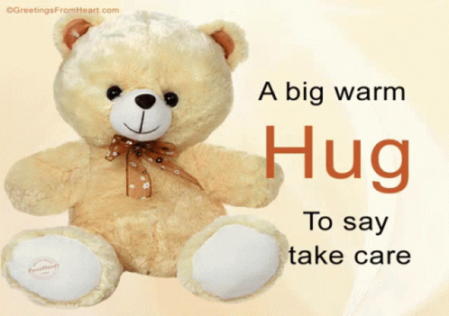 Big Warm Hug Teddy Bear Take Care