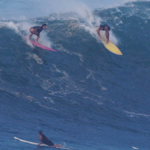 Big Wave Surfing Down GIF