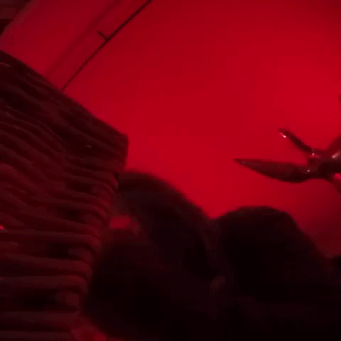 Bigfoot Crazy Partying GIF