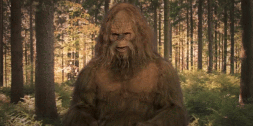 Bigfoot In Forest GIF