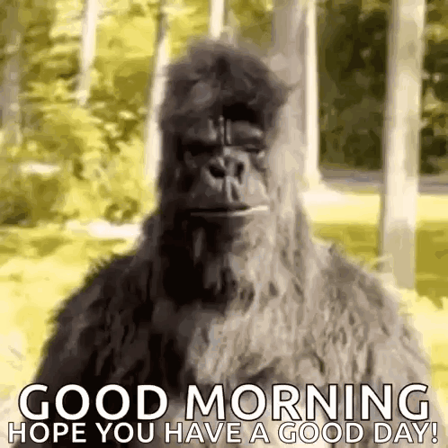 Bigfoot in Furry Costume Saying Good Morning