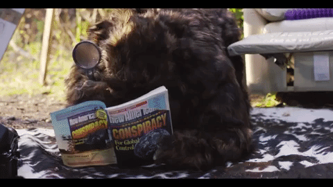 Bigfoot Reading Conspiracy Books GIF