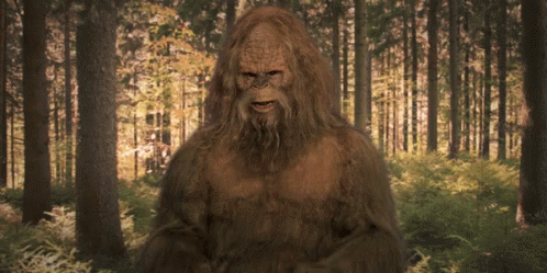 Bigfoot Standing in Forest