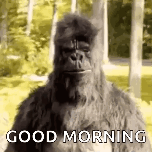 Bigfoot Standing in Woods Saying Good Morning