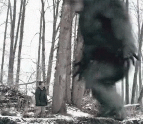 Bigfoot Stumping His Feet GIF