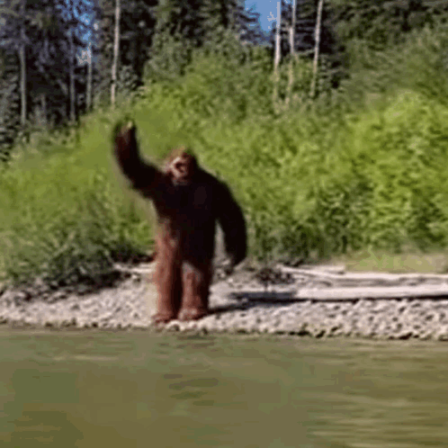 Bigfoot Waving in Water