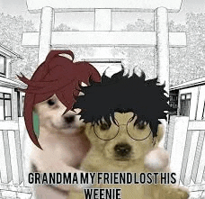 Bigokorunweenie Meme GIF