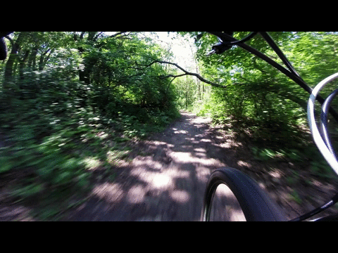 Bike Cam Forest Trip GIF