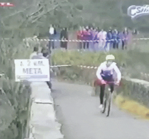 Bike Cheater Got Punch GIF