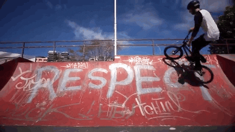 Bike Pause Trick Respect GIF
