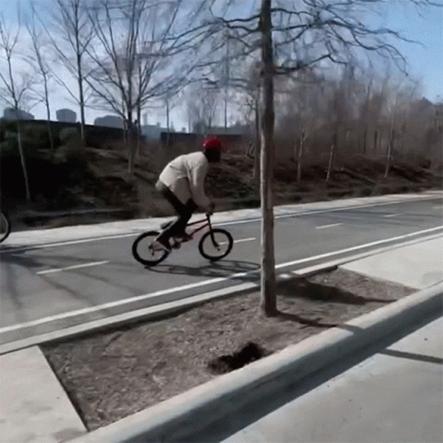 Nigel Sylvester Bike Riding Bunny Hop GIF