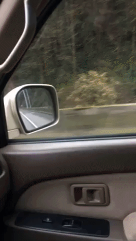 Bike Riding On Highway GIF