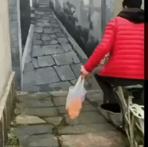 Bike Trap In The Pathway GIF