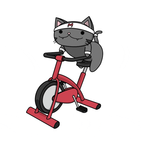 Biking Cat On Stationary Bike GIF