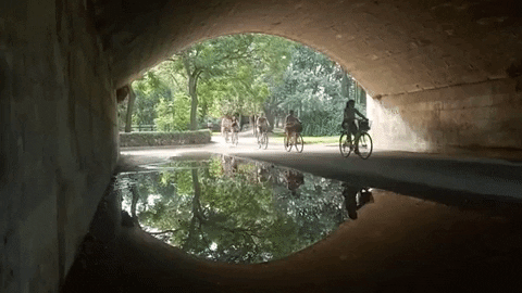 Biking Cyclist Under The Bridge GIF