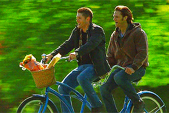 Biking Duo Enjoys Outdoor Ride GIF