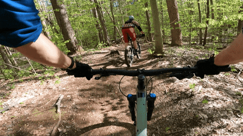 Biking On A Mountain Trail Ride GIF