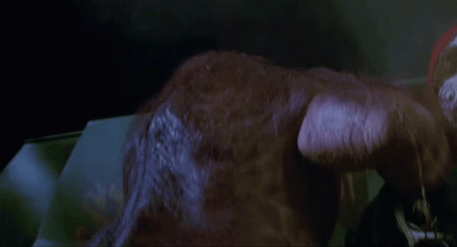 Bill And Ted GIF