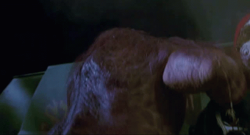 Bill And Ted 498 X 269 Gif GIF