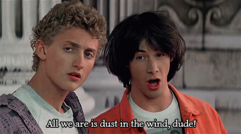 Bill And Ted Dust In The Wind Dude GIF