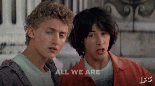 Bill And Ted All We Are GIF