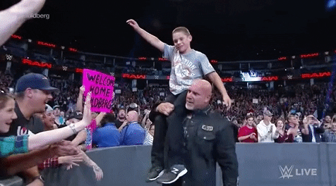 Bill Goldberg High Fives Fans GIF