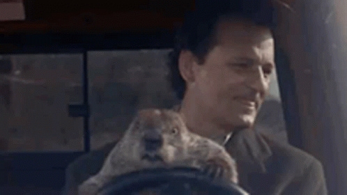 Bill Murray Holding A Groundhog GIF