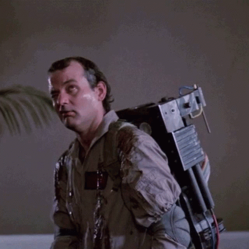 Bill Murray Funny Face Ghostbusters GIF