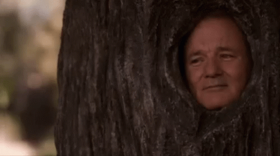 Bill Murray Get Smart Film Clip GIF