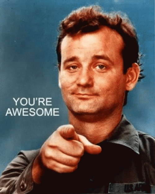 Bill Murray You're Awesome Wink GIF