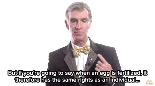 Bill Nye Say When Egg Is Fertilized GIF