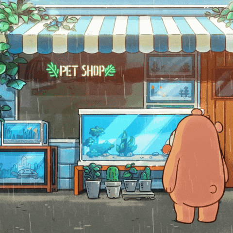 Bill The Bear Viewing Aquarium At Pet Shop GIF