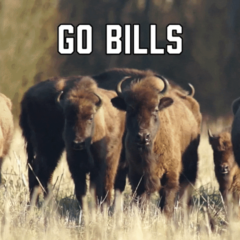 Bills 480 X 480 Gif GIF