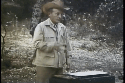 Bing Crosby Catching Pancakes GIF