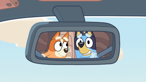Bingo And Bandit Rear Mirror GIF
