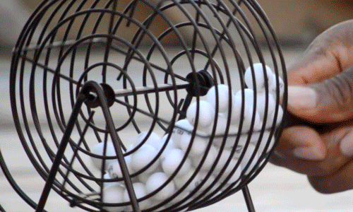 Bingo Fun Activity GIF