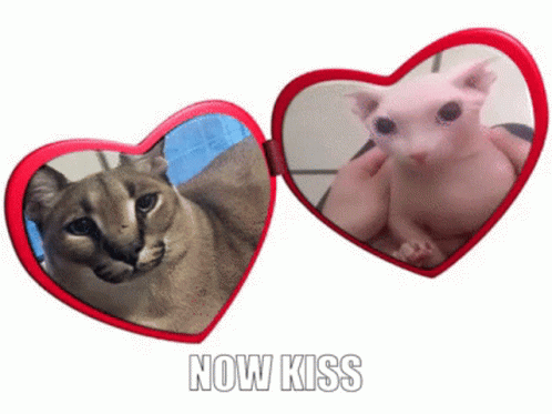 Bingus Sphynx Cat No Kiss Heart Locket GIF