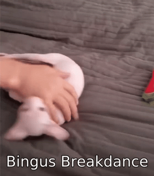 Bingus Sphynx Cat Breakdance GIF