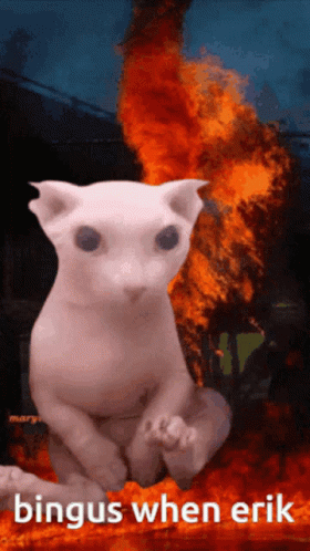 Bingus Sphynx Cat Fire When Erik GIF
