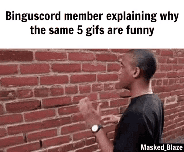Binguscord Explaining Why Same Gifs Are Funny Meme GIF