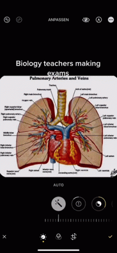 Biology Teachers Making Exam GIF