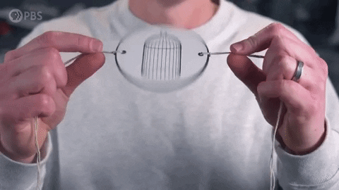 Bird And Cage Thaumatrope Optical Illusion GIF