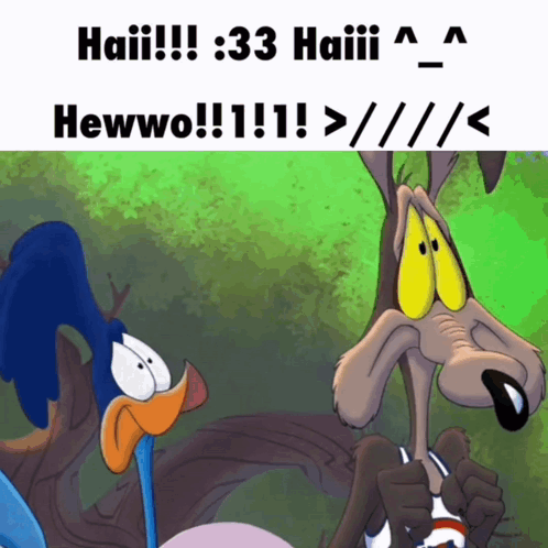 Bird and Coyote Saying Haii 3:33 Hewwo