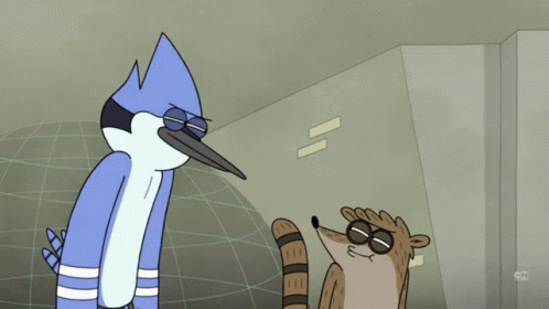 Bird And Raccoon Cartoon With CN GIF